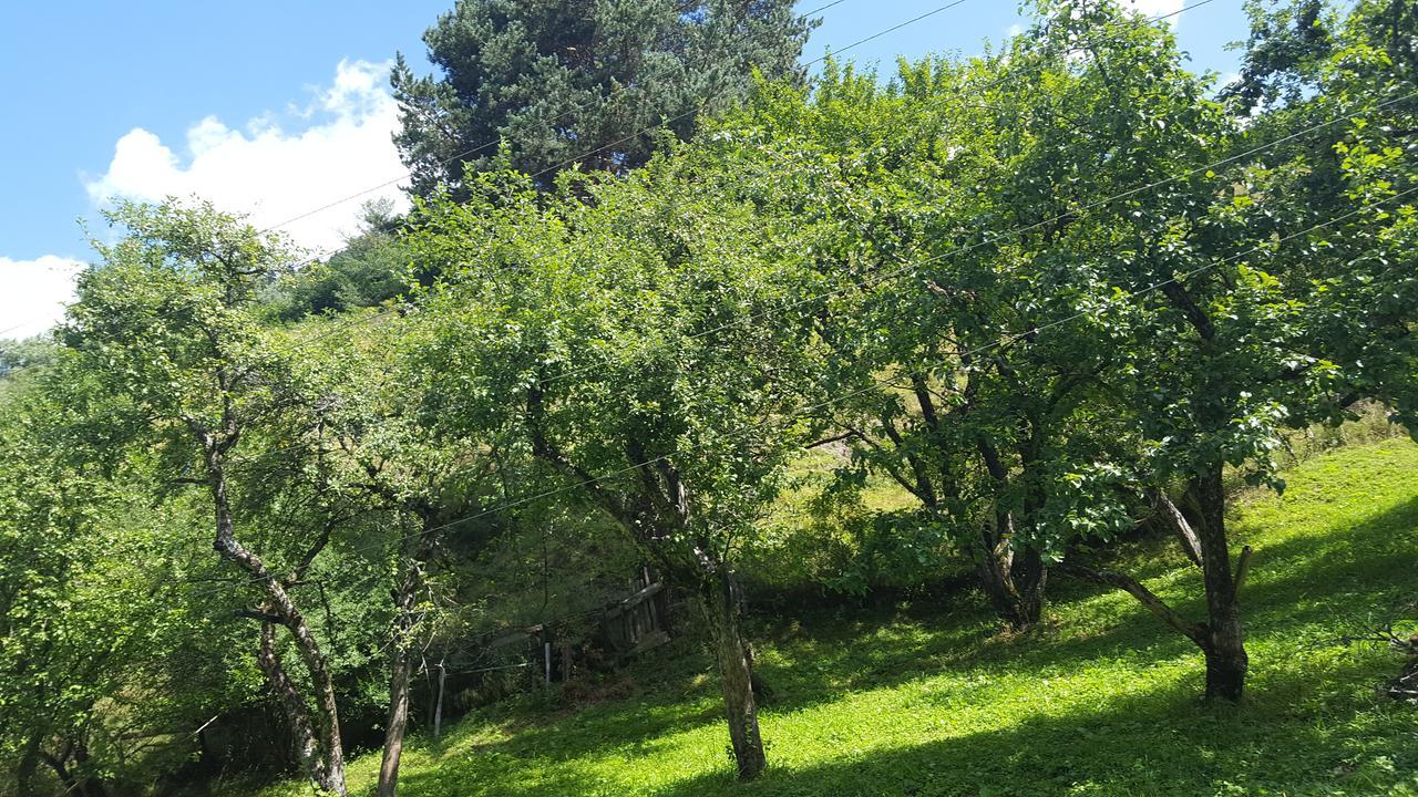 Raul Lushnu Darbaz Bed & Breakfast Mestia Dış mekan fotoğraf