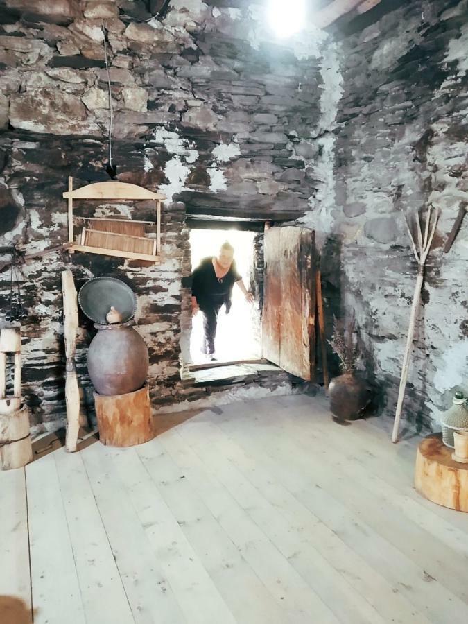 Raul Lushnu Darbaz Bed & Breakfast Mestia Dış mekan fotoğraf