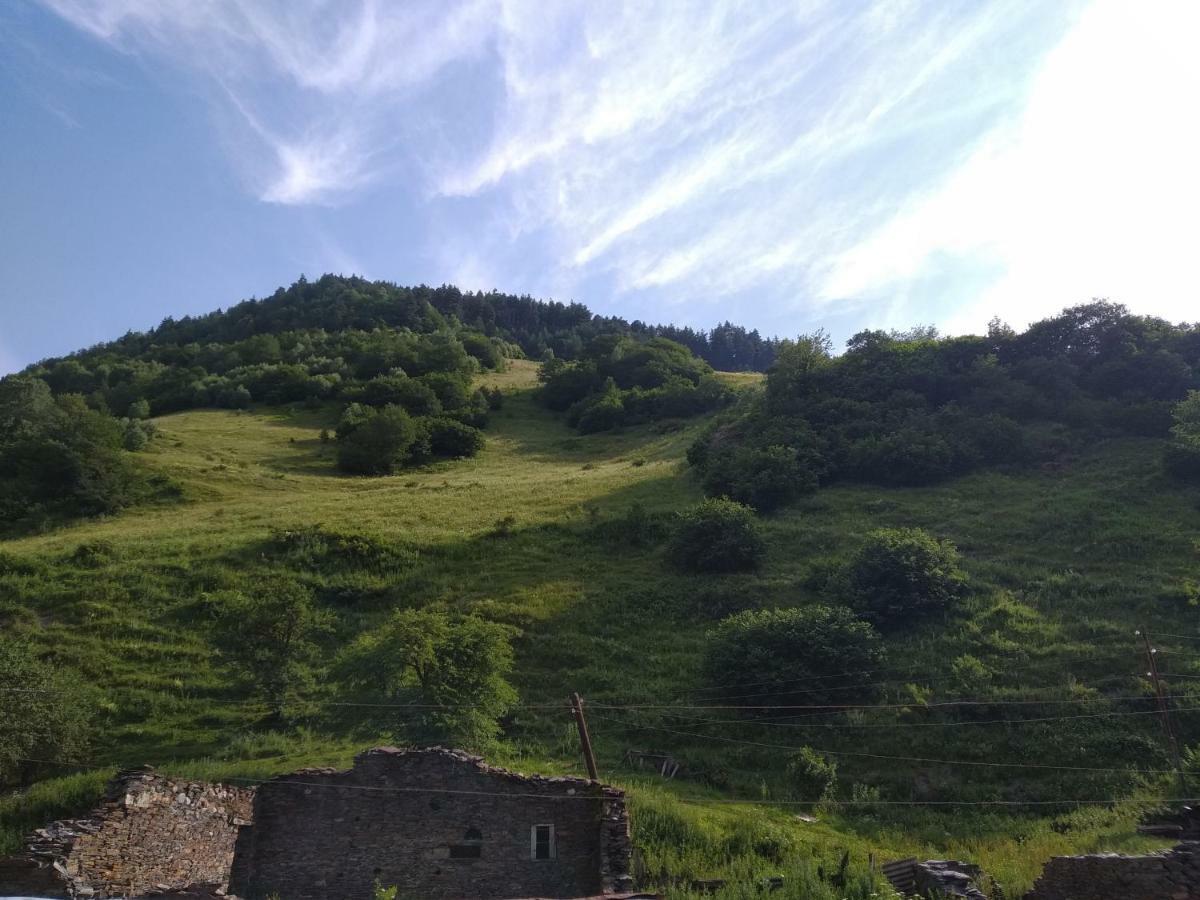Raul Lushnu Darbaz Bed & Breakfast Mestia Dış mekan fotoğraf