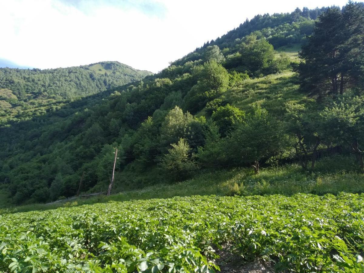 Raul Lushnu Darbaz Bed & Breakfast Mestia Dış mekan fotoğraf